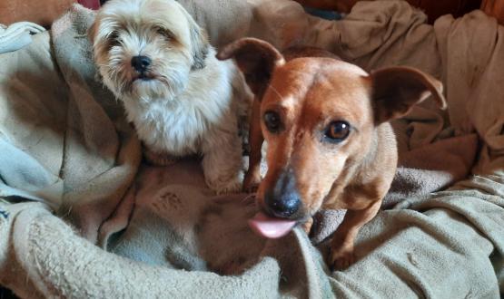 WhatsApp Image 2021-06-22 at 10.38.35